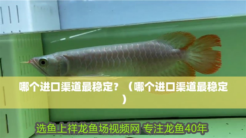 哪個進口渠道最穩定？（哪個進口渠道最穩定）