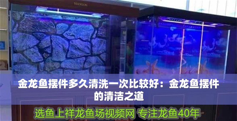 金龍魚擺件多久清洗一次比較好：金龍魚擺件的清潔之道