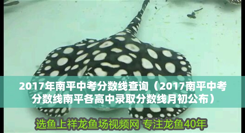 2017年南平中考分數線查詢（2017南平中考分數線南平各高中錄取分數線月初公布）
