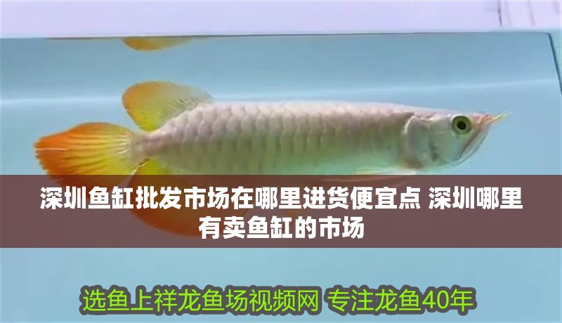 <strong><mark>深圳</mark></strong>魚缸批發(fā)市場在哪里進貨便宜點 <strong><mark>深圳</mark></strong>哪里有賣魚缸的市場