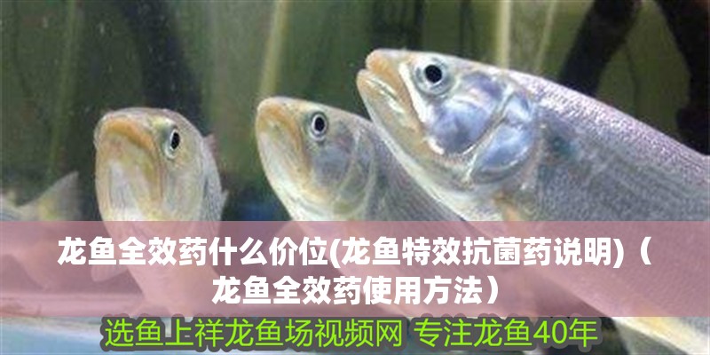 龍魚全效藥什么價(jià)位(龍魚特效抗菌藥說(shuō)明)（龍魚全效藥使用方法）