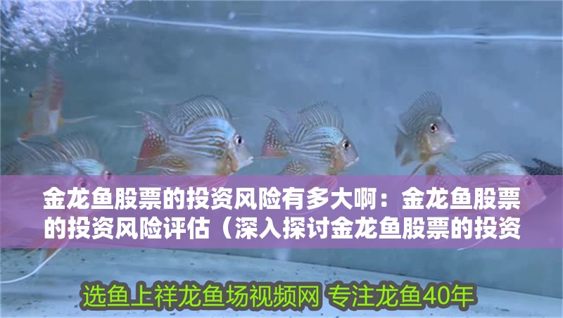 金龍魚股票的投資風險有多大啊：金龍魚股票的投資風險評估（深入探討金龍魚股票的投資風險）