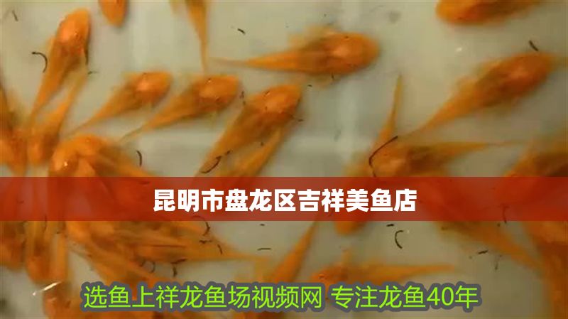 昆明市盤龍區(qū)吉祥美魚店