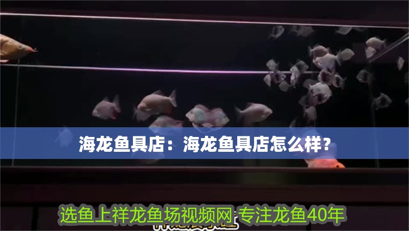 海龍魚具店：海龍魚具店怎么樣？
