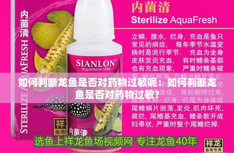 如何判斷龍魚是否對藥物過敏呢：如何判斷龍魚是否對藥物過敏？