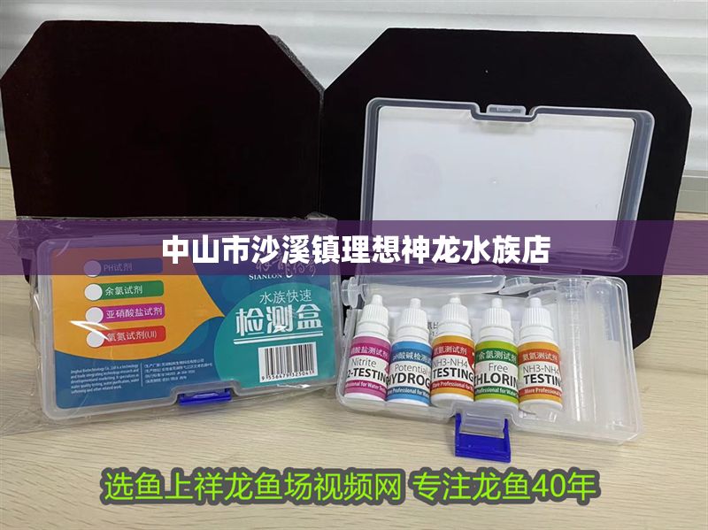 中山市沙溪鎮理想神龍水族店