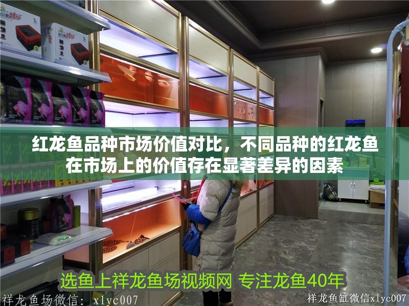 紅龍魚品種市場價值對比，不同品種的紅龍魚在市場上的價值存在顯著差異的因素