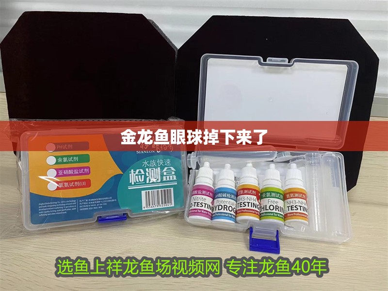 金龍魚眼球掉下來了