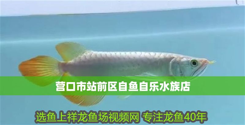 營口市站前區自魚自樂水族店 營口市站前區自魚自樂水族店 全國水族館企業名錄 第1張