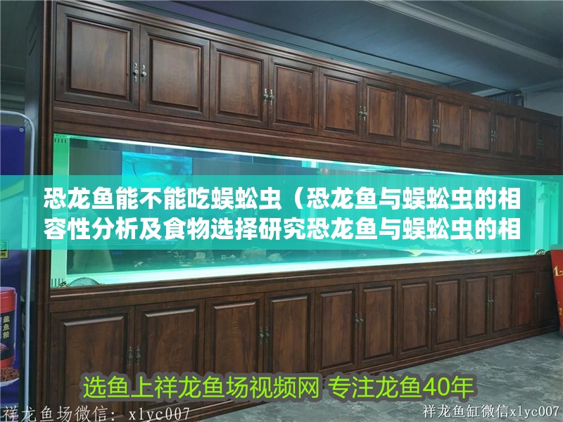 恐龍魚能不能吃蜈蚣蟲（恐龍魚與蜈蚣蟲的相容性分析及食物選擇研究恐龍魚與蜈蚣蟲的相容性分析）