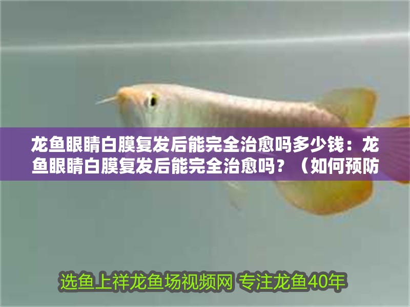 龍魚眼睛白膜復發后能完全治愈嗎多少錢：龍魚眼睛白膜復發后能完全治愈嗎？（如何預防龍魚眼睛白膜復發）