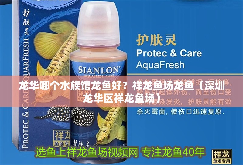 龍華哪個水族館龍魚好？祥龍魚場龍魚（深圳龍華區(qū)祥龍魚場）