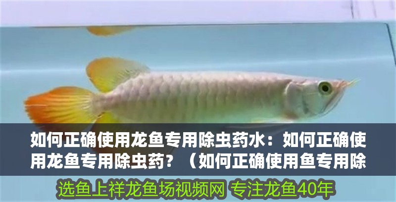 如何正確使用龍魚專用除蟲藥水：如何正確使用龍魚專用除蟲藥？（如何正確使用魚專用除蟲藥）