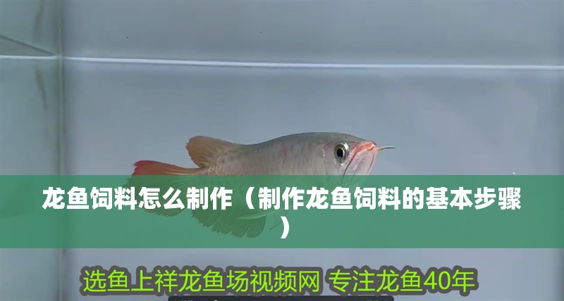 龍魚飼料怎么制作（制作龍魚飼料的基本步驟）