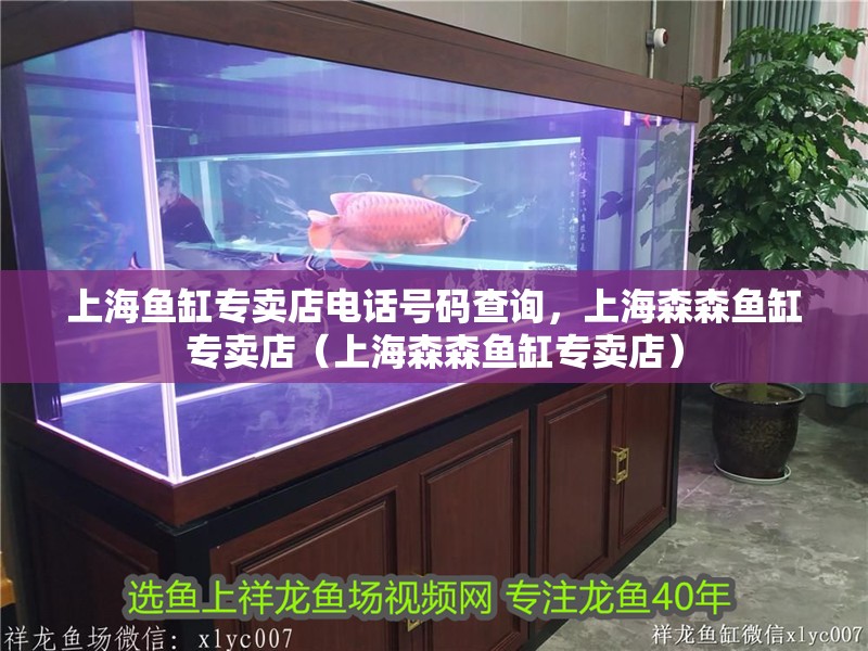 上海魚缸專賣店電話號碼查詢，上海森森魚缸專賣店（上海森森魚缸專賣店）