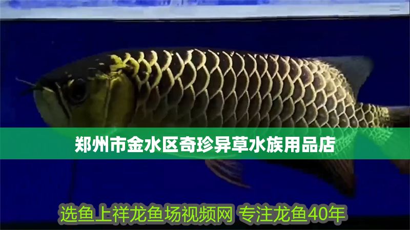 鄭州市金水區(qū)奇珍異草水族用品店