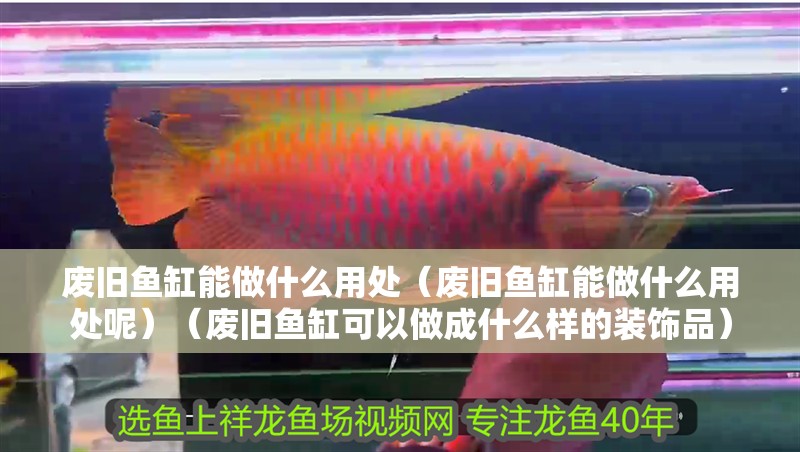 廢舊魚缸能做什么用處（廢舊魚缸能做什么用處呢）（廢舊魚缸可以做成什么樣的裝飾品）