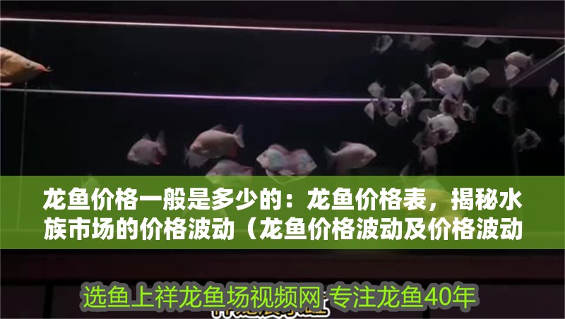 龍魚價格一般是多少的：龍魚價格表，揭秘水族市場的價格波動（龍魚價格波動及價格波動及其背后的因素影響龍魚價格）