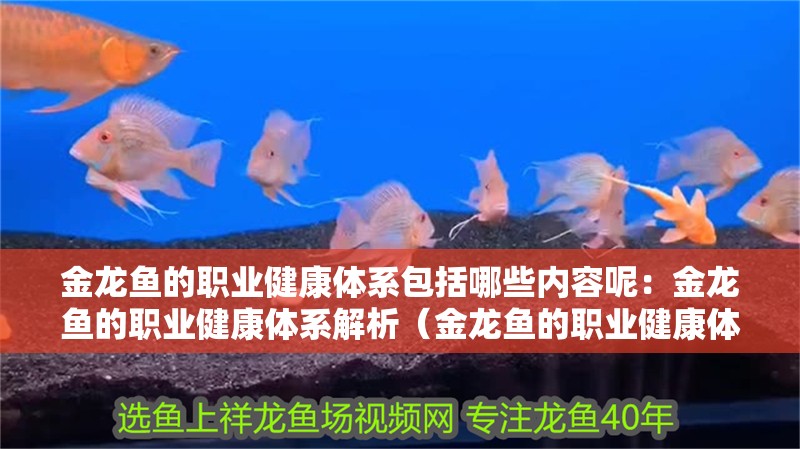 金龍魚的職業(yè)健康體系包括哪些內(nèi)容呢：金龍魚的職業(yè)健康體系解析（金龍魚的職業(yè)健康體系）