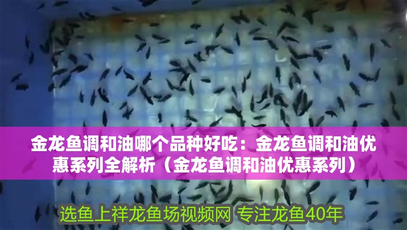 金龍魚調和油哪個品種好吃：金龍魚調和油優惠系列全解析（金龍魚調和油優惠系列）