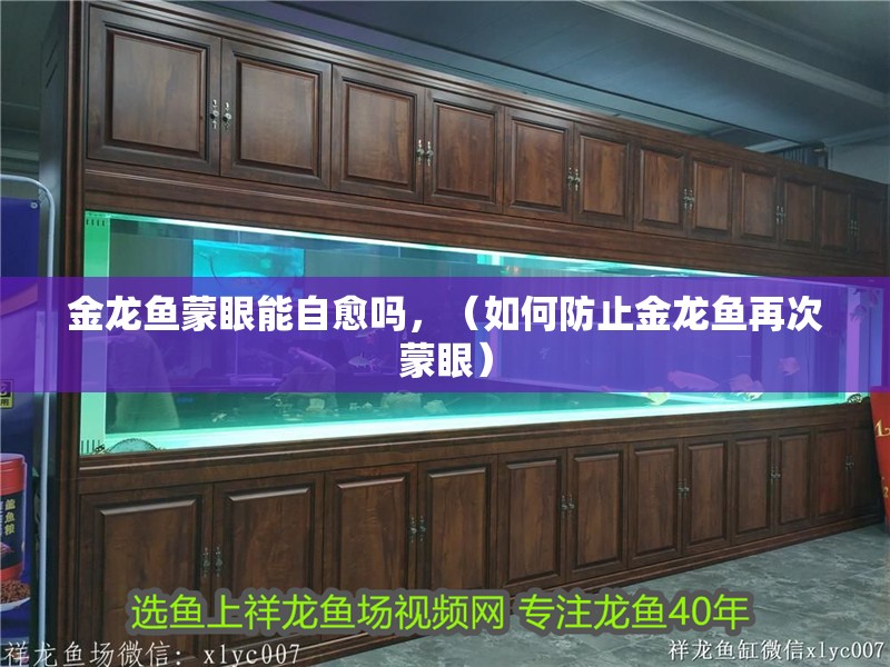 金龍魚蒙眼能自愈嗎，（如何防止金龍魚再次蒙眼）