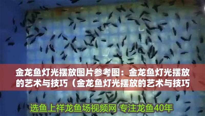 金龍魚燈光擺放圖片參考圖：金龍魚燈光擺放的藝術與技巧（金龍魚燈光擺放的藝術與技巧，）
