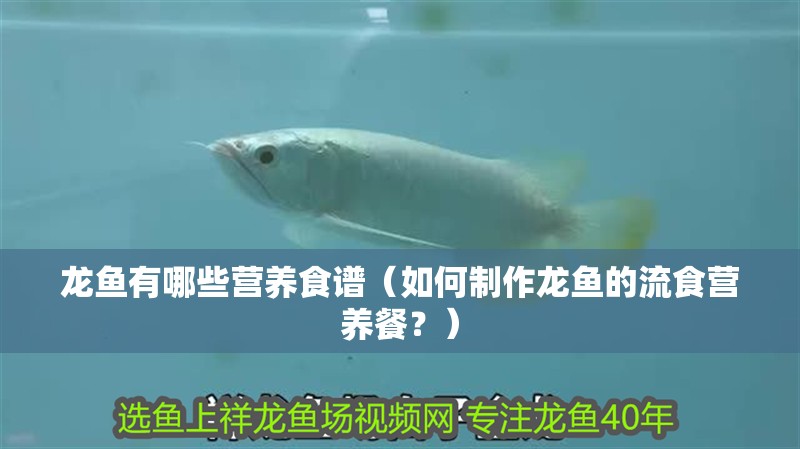 龍魚有哪些營養食譜（如何制作龍魚的流食營養餐？）