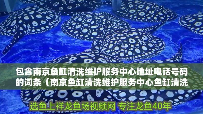 包含南京魚缸清洗維護服務中心地址電話號碼的詞條（南京魚缸清洗維護服務中心魚缸清洗維護服務中心電話）