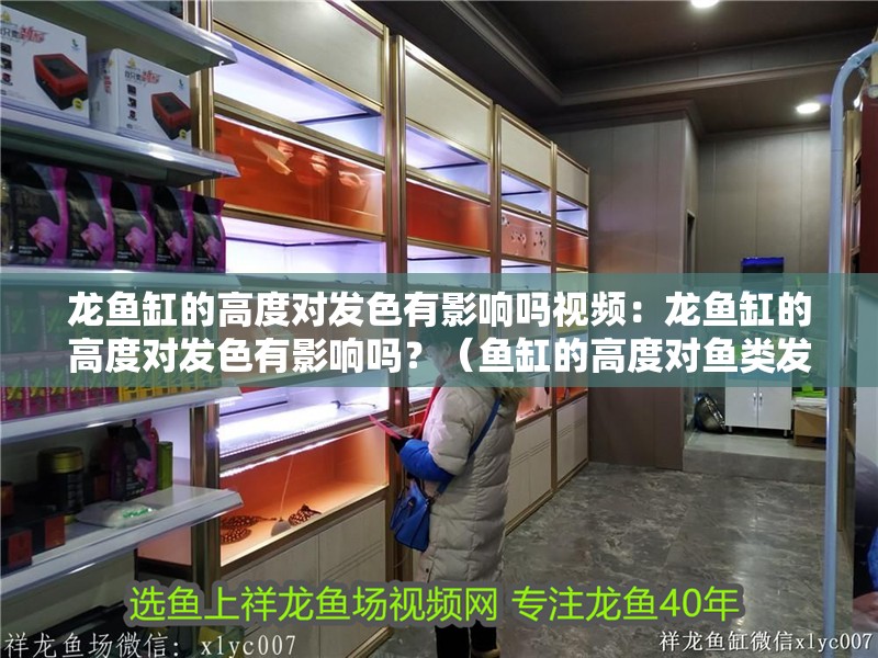 龍魚缸的高度對發(fā)色有影響嗎視頻：龍魚缸的高度對發(fā)色有影響嗎？（魚缸的高度對魚類發(fā)色有影響嗎？）