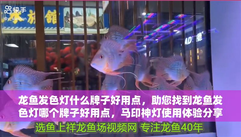 龍魚發色燈什么牌子好用點，助您找到龍魚發色燈哪個牌子好用點，馬印神燈使用體驗分享