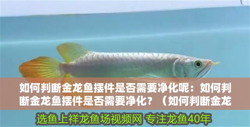 如何判斷金龍魚擺件是否需要凈化呢：如何判斷金龍魚擺件是否需要凈化？（如何判斷金龍魚擺件是否需要凈化）