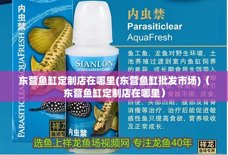 東營(yíng)魚缸定制店在哪里(東營(yíng)魚缸批發(fā)市場(chǎng))（東營(yíng)魚缸定制店在哪里）