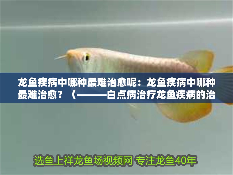 龍魚疾病中哪種最難治愈呢：龍魚疾病中哪種最難治愈？（———白點病治療龍魚疾病的治療方法）