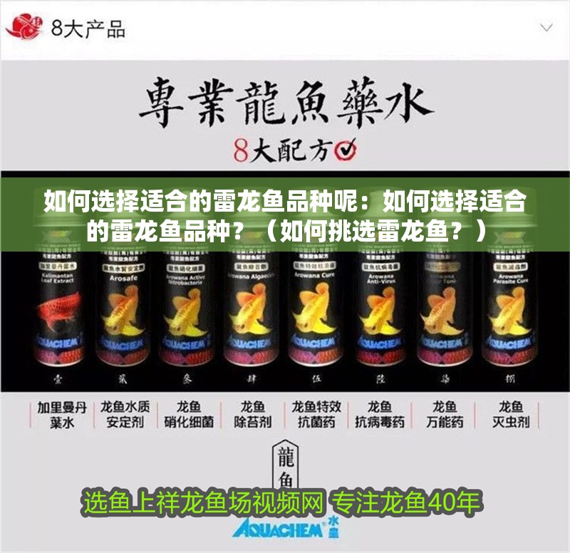如何選擇適合的雷龍魚品種呢：如何選擇適合的雷龍魚品種？（如何挑選雷龍魚？）