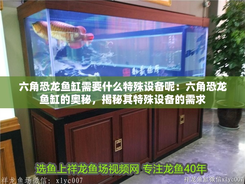 六角恐龍魚缸需要什么特殊設備呢：六角恐龍魚缸的奧秘，揭秘其特殊設備的需求 六角恐龍魚缸需要什么特殊設備呢：六角恐龍魚缸的奧秘，揭秘其特殊設備的需求 水族問答