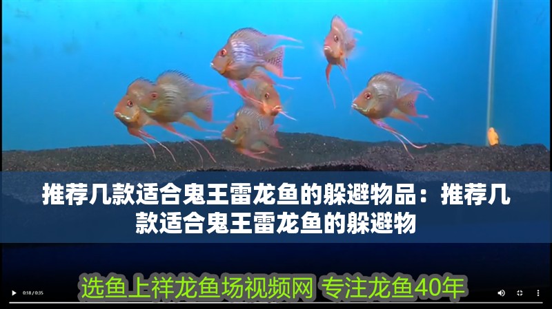 魚缸用增氧泵價格是多少:魚缸增氧機-xtrac增氧機-xtrac增氧機 推薦幾款適合鬼王雷龍魚的躲避物品:推薦幾款適合鬼王雷龍魚的躲避物 水族問答 推薦幾款適合鬼王雷龍魚的躲避物品:推薦幾款適合鬼王雷龍魚的躲避物 推薦幾款適合鬼王雷龍魚的躲避物品:推薦幾款適合鬼王雷龍魚的躲避物 水族問答