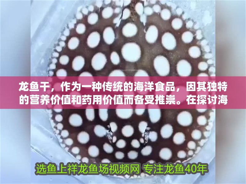 龍魚(yú)干，作為一種傳統(tǒng)的海洋食品，因其獨(dú)特的營(yíng)養(yǎng)價(jià)值和藥用價(jià)值而備受推崇。在探討海龍魚(yú)干的功效與作用之前，我們首先需要了解其主要成分及其對(duì)人體健康的益處（海龍魚(yú)干是一種營(yíng)養(yǎng)豐富的食品）