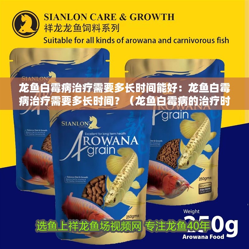 龍魚白霉病治療需要多長時間能好：龍魚白霉病治療需要多長時間？（龍魚白霉病的治療時間）