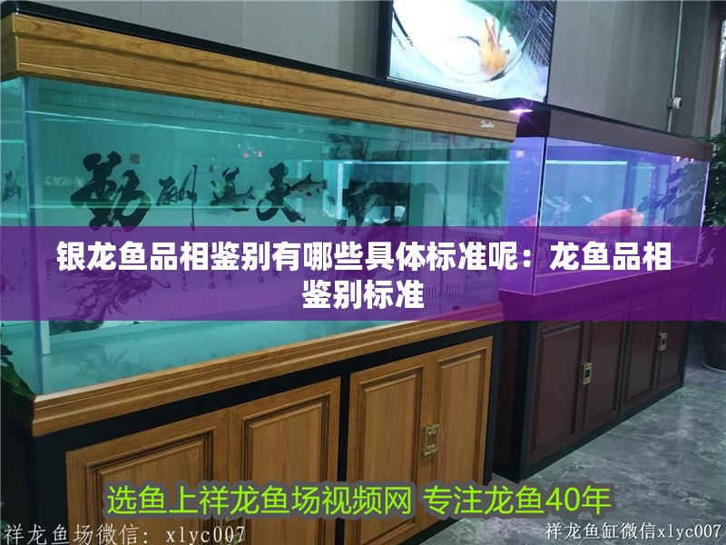 銀龍魚品相鑒別有哪些具體標(biāo)準(zhǔn)呢：龍魚品相鑒別標(biāo)準(zhǔn)