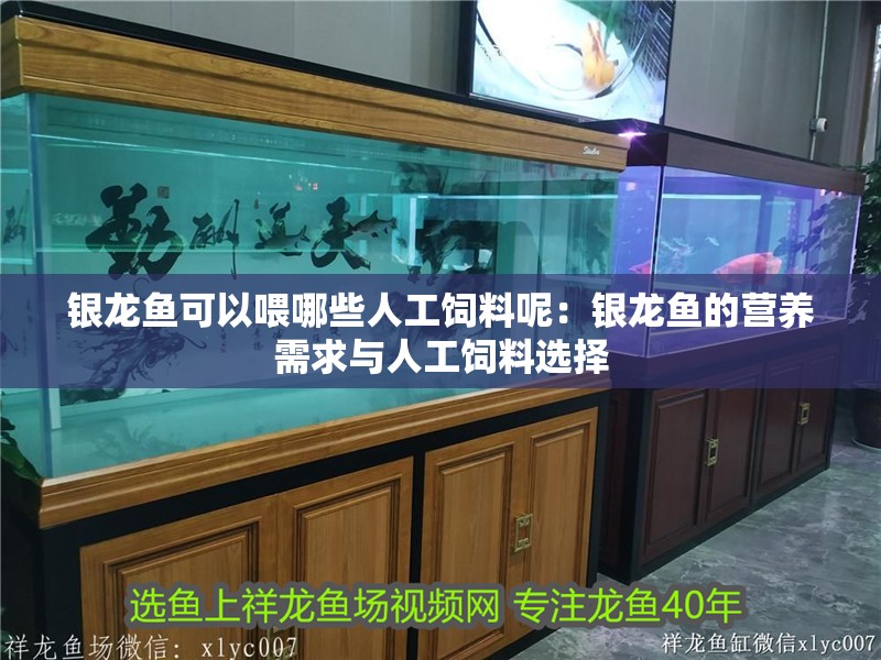 銀龍魚可以喂哪些人工飼料呢：銀龍魚的營養(yǎng)需求與人工飼料選擇