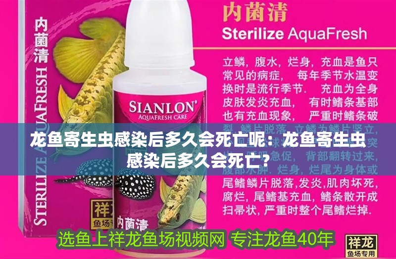 龍魚寄生蟲感染后多久會死亡呢：龍魚寄生蟲感染后多久會死亡？