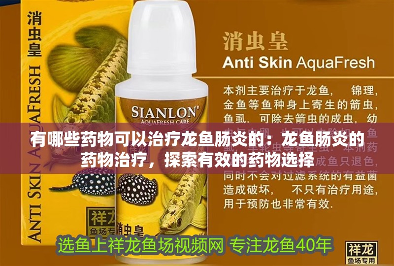 有哪些藥物可以治療龍魚腸炎的：龍魚腸炎的藥物治療，探索有效的藥物選擇
