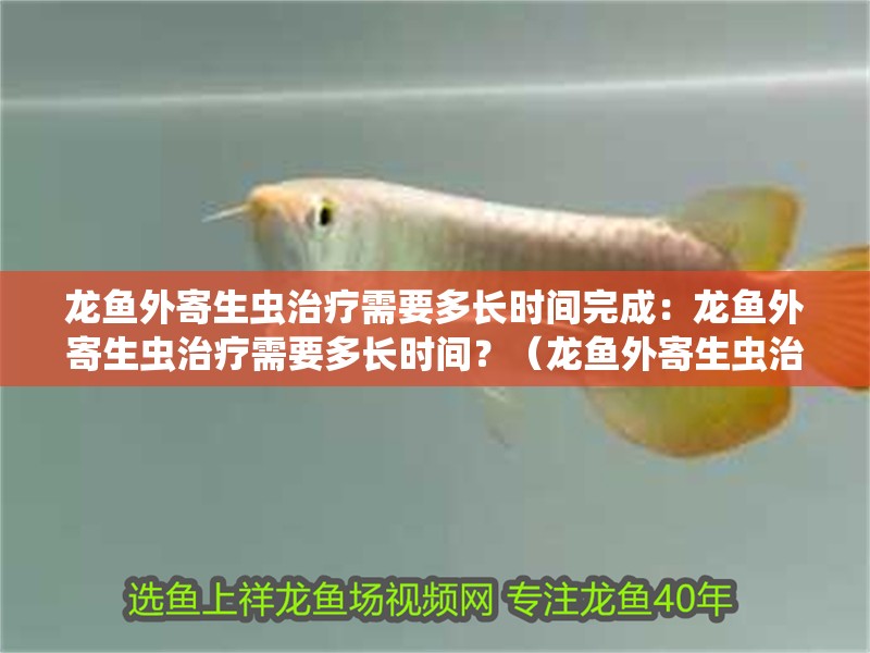 龍魚外寄生蟲治療需要多長(zhǎng)時(shí)間完成：龍魚外寄生蟲治療需要多長(zhǎng)時(shí)間？（龍魚外寄生蟲治療的時(shí)長(zhǎng)取決于多種因素）