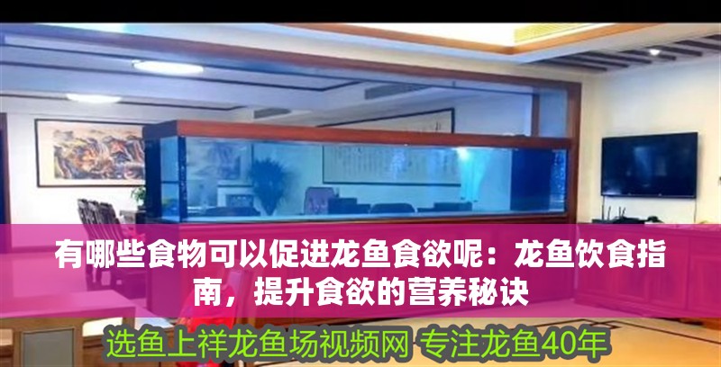 有哪些食物可以促進龍魚食欲呢：龍魚飲食指南，提升食欲的營養秘訣