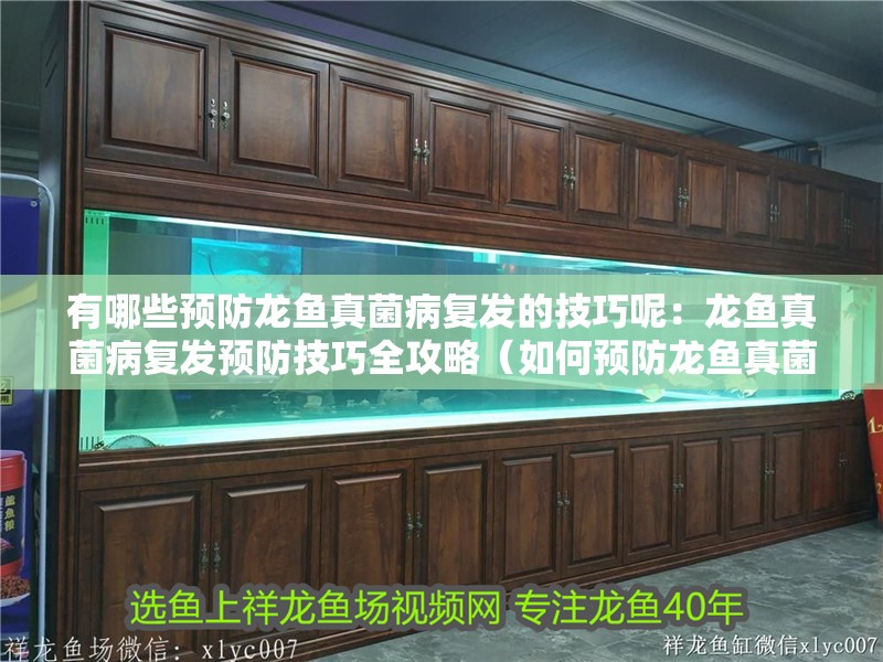 有哪些預防龍魚真菌病復發的技巧呢：龍魚真菌病復發預防技巧全攻略（如何預防龍魚真菌病復發）