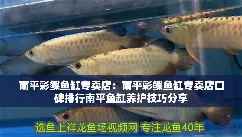 南平彩鰈魚缸專賣店：南平彩鰈魚缸專賣店口碑排行南平魚缸養護技巧分享
