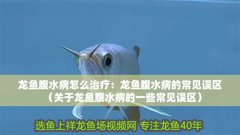 龍魚腹水病怎么治療：龍魚腹水病的常見誤區（關于龍魚腹水病的一些常見誤區）