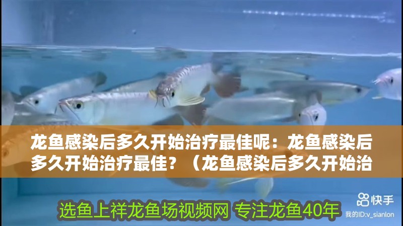 龍魚感染后多久開始治療最佳呢：龍魚感染后多久開始治療最佳？（龍魚感染后多久開始治療）
