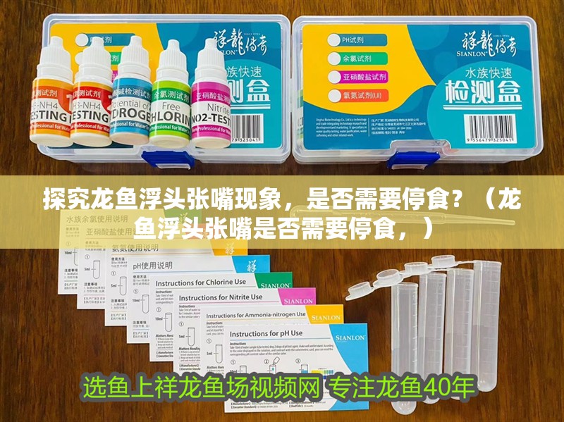 探究龍魚浮頭張嘴現(xiàn)象，是否需要停食？（龍魚浮頭張嘴是否需要停食，）