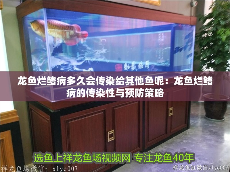 龍魚爛鰭病多久會傳染給其他魚呢：龍魚爛鰭病的傳染性與預防策略 龍魚爛鰭病多久會傳染給其他魚呢：龍魚爛鰭病的傳染性與預防策略 水族問答